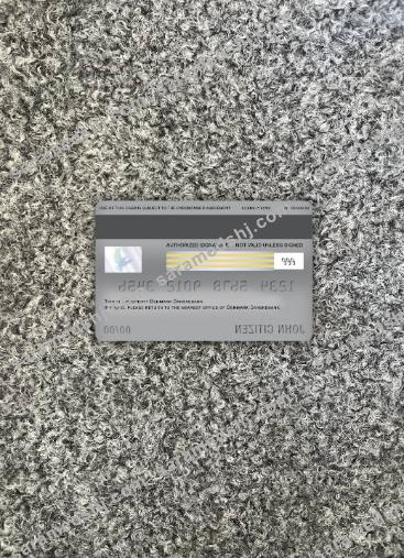 Denmark Danskebank visa debit card photolook back